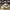 VALENTINO GARAVANI ROCKRUNNER LOVE SNEAKERS photo 1
