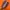 vans sk8 low brown
 photo 5
