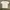 The North Face White Tee photo 3