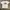 The North Face White Tee photo 1