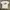 The North Face White Tee