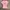 y2k Chiwawa USA Dog Lover Women’s Pink Top Tee photo 1