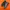 salomon xt6 goretex
 photo 1