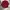 Black Yak Expedition Heavyweight Red Buffalo Plaid Flannel photo 2