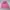 Casual Windbreaker Wanita pink photo 5