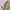 DANIEL HECHTER VNECK SWEATER