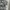 Dickies Streetwear Puffer jacket Wanita gray photo 2