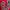 GAP Streetwear Puffer Jacket Wanita Red