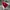 Arsenal jersey home 2017/2018 long slevee photo 1