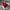 Arsenal Jersey Home 2017/2018 Long Slevee