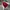 Arsenal jersey home 2017/2018 long slevee photo 2
