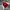 Arsenal Jersey Home 2017/2018 Long Slevee