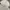 Hoodie boxy Amorevole thy (white) photo 3