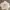 Hoodie boxy Amorevole thy (white) photo 2