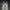 Adidas Streetwear Casual shoe Pria white photo 1