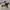 Sherpa Jacket by Based Club (discontinue)  photo 1