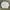 Vintage Polo Ralph Lauren White Shirts photo 1
