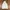 Zip Hoodie  Kangol photo 1
