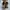 Vans SK8 HIGH MTE 2 Dachshund Brown photo 6