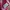 Y2K Casual Shirt Wanita pink photo 3