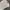 Luxury Minimalist Midi dress Wanita white photo 1