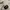 Frank stone foremost packable jacket black photo 2