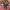 Vintage Y2K Midi Skirt summer floral photo 3