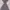 original Rocha john dress (read desc) photo 2