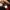 CAPS VON DUTCH MERAH photo 6