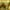 Dior Luxury Casual Polo shirt Pria cream tan photo 5