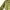 Dior Luxury Casual Polo shirt Pria cream tan photo 2