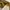 Short Pants Carhartt Rugged Flex Brown photo 3
