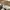Chinos Pants Dickies 1922 Khaki photo 3