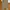 Chinos Pants Dickies 1922 Khaki photo 5