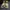 Adidas harden IMMA STAR photo 1