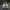 Adidas harden IMMA STAR photo 4