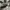 Adidas Streetwear Casual T-shirt Pria gray photo 4