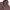 MLB Vintage Streetwear Pria burgundy photo 2