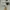 Algonquins Streetwear Dungaree Pria white photo 8