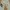 Algonquins Streetwear Dungaree Pria white photo 5