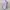 Blazer rompi outer lilac wanita photo 2