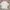 Uniqlo U Airsm oversized sz L  photo 1