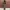 CARGO PANTS BAGGY CAMO - CHANGE 2118
