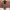 CARGO PANTS BAGGY CAMO - CHANGE 2118 photo 1