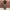 CARGO PANTS BAGGY CAMO - CHANGE 2118