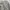 CARGO PANTS BAGGY CAMO - CHANGE 2118 photo 5