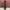 BAGGY PANTS CHINO BLACK - 8 SECONDS photo 2