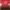 Manchester United Jersey