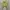Knit Crop Turtleneck - Forever 21 photo 1