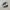 Sepatu hiking pria salomon xt 6 goretex second branded photo 4